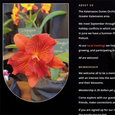 A segment of the Kalamazoo Orchid Society website home page